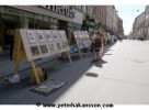 Filename=200507021715.jpg
Filesize=22KiB
Dimensions=312x229
Date added=Aug 14, 2005 200507021715.jpg