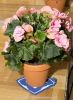 201208170315.jpg