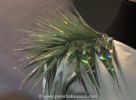 Filename=201402050125.jpg
Filesize=25KiB
Dimensions=425x312
Date added=May 08, 2014 201402050125.jpg