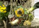 Filename=201403060227.jpg
Filesize=47KiB
Dimensions=425x312
Date added=Jan 11, 2015 201403060227.jpg