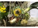 Filename=201403060228.jpg
Filesize=43KiB
Dimensions=425x312
Date added=Jan 11, 2015 201403060228.jpg