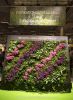 Filename=201403060302.jpg
Filesize=53KiB
Dimensions=312x425
Date added=Jan 11, 2015 201403060302.jpg