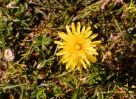 Filename=202105300318.jpg
Filesize=366KiB
Dimensions=600x440
Date added=Jan 15, 2022 202105300318.jpg