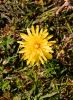 Filename=202105300319.jpg
Filesize=382KiB
Dimensions=440x600
Date added=Jan 15, 2022 202105300319.jpg