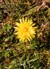 Filename=202105300320.jpg
Filesize=389KiB
Dimensions=440x600
Date added=Jan 15, 2022 202105300320.jpg