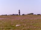 Filename=202105300327.jpg
Filesize=269KiB
Dimensions=600x440
Date added=Jan 15, 2022 202105300327.jpg