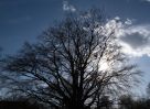 Filename=202204190305.jpg
Filesize=323KiB
Dimensions=600x440
Date added=Jan 01, 2023 202204190305.jpg