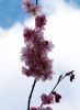 Filename=202204190803.jpg
Filesize=156KiB
Dimensions=440x600
Date added=Jan 01, 2023 202204190803.jpg