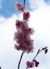 Filename=202204190804.jpg
Filesize=155KiB
Dimensions=440x600
Date added=Jan 01, 2023 202204190804.jpg