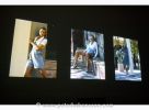 Filename=200608250106.jpg
Filesize=17KiB
Dimensions=312x229
Date added=Nov 03, 2006 200608250106.jpg